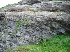 DSCF0096