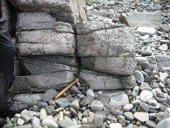 DSCF0097