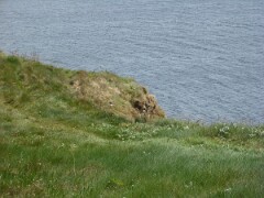 DSCF0157