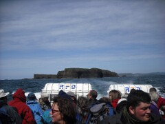 DSCF0159
