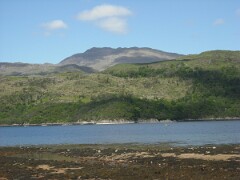 DSCF0176