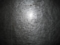 June 06 033