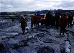 1977_CEH3662_A045