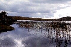 1983_CEH5371_D066