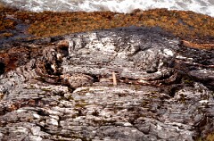 1983_CEH5379_D074