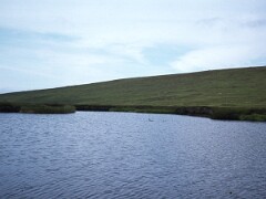 1978_0000000_K022