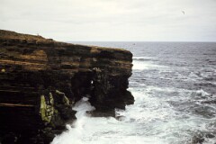 1978_0000000_K042_0006526