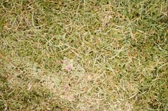 1978_0000000_K048_0006528
