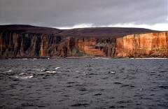 1991_K050_0006530