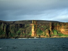 1991_K051
