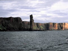 1991_K053