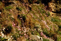 1991_K054_0006532