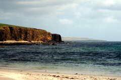 1991_K055_0006533