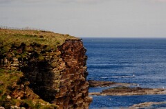 1991_K057_0006535