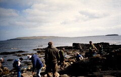 1991_K058_0006536