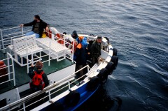 1991_K059_0006537