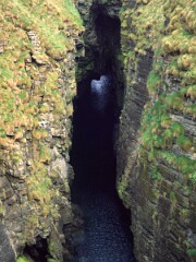 1991_K061