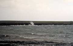 1991_K062_0006538