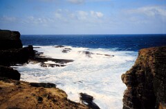 1991_K063_0006539