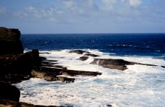 1991_K064_0006540