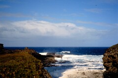 1991_K065_0006541