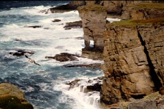 1991_K066_0006542