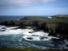 1991_K067