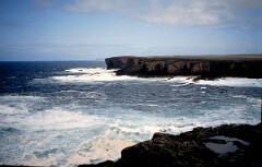1991_K068_0006543