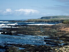 1991_K076