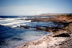 1991_K077_0006547