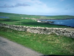 1991_K081