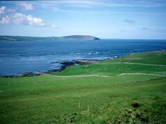 1991_K083