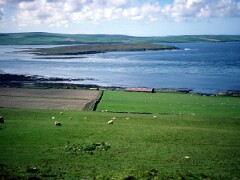1991_K084