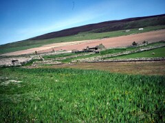 1991_K089