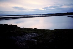 1991_K097_0006556