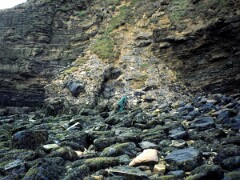 1991_K098