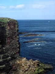 1991_K109