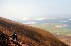 1991_K118_0006562