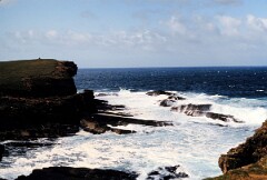1991_K126_0006565