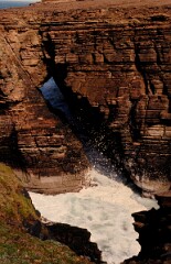 1991_K127_0006566