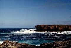 1991_K131_0006568