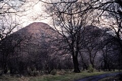 1983_CEH3763_A379