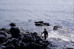 1986_CEH3872_A519