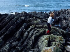 1991_H0273