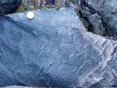 1991_H0277