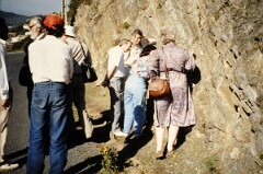 1990_0006786_N443