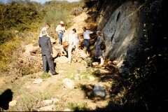 1990_0006787_N444