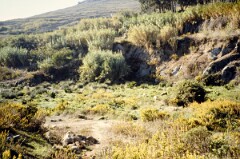 1990_0006788_N445