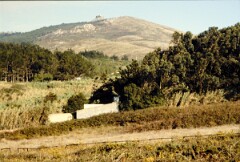 1990_0006789_N446
