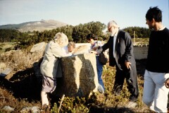 1990_0006790_N447